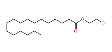 2-Chloroethyl heptadecanoate